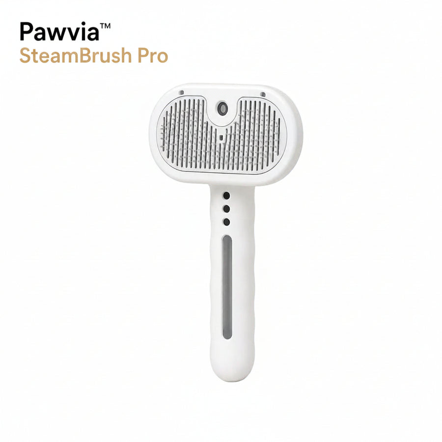 Pawvia™ SteamBrush Pro | Buharlı Kedi & Köpek Bakım Tarağı