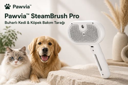 Pawvia™ SteamBrush Pro | Buharlı Kedi & Köpek Bakım Tarağı