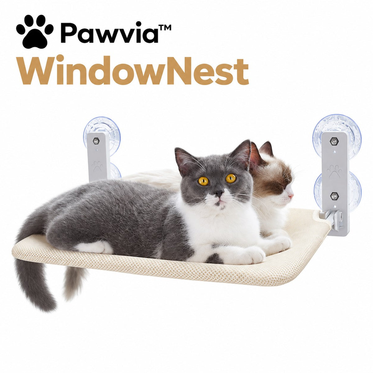 Pawvia™ WindowNest | Vantuzlu Pencere Kedi Hamağı