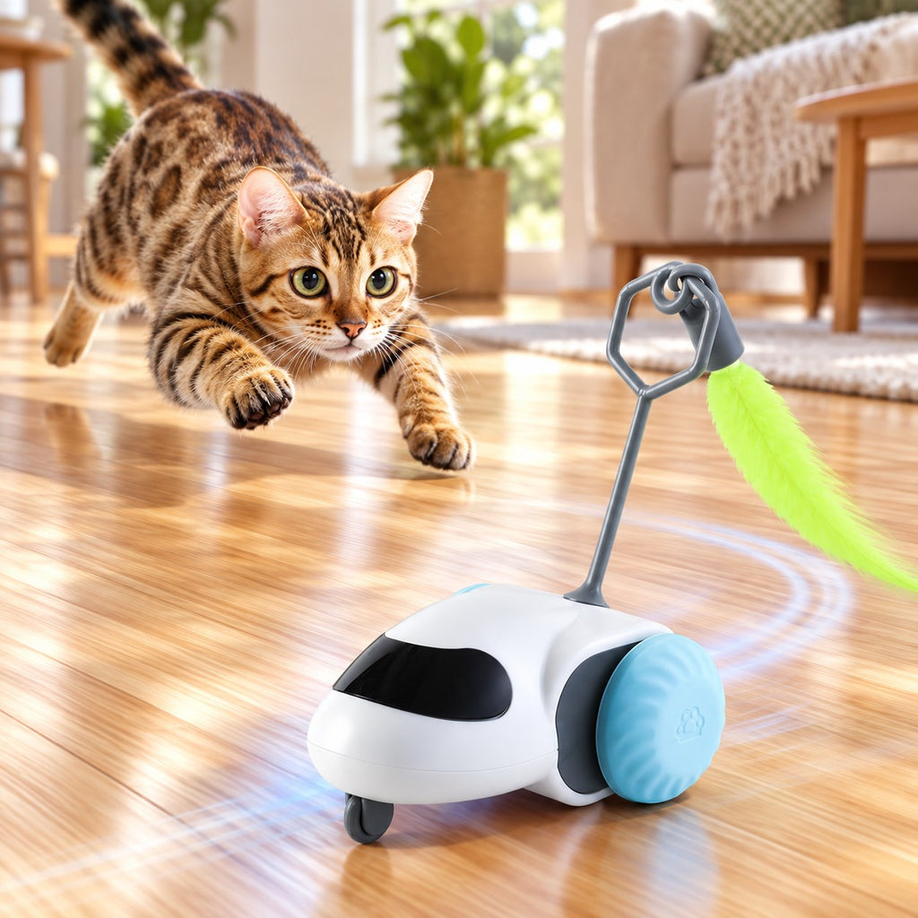 Pawvia™ WhiskerRover | Akıllı Hareketli Kedi Oyuncak Arabası